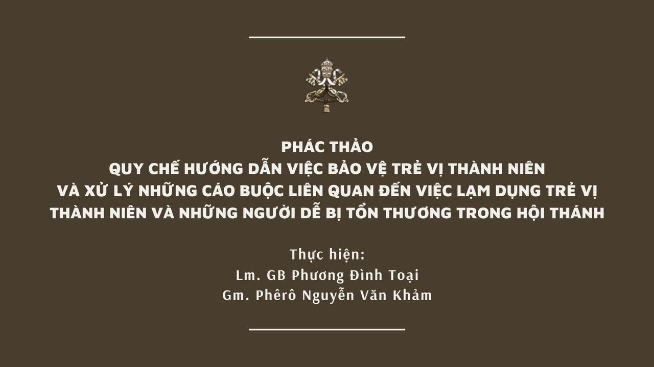 Phác Thảo về việc Bảo Vệ Trẻ Vị Thành Niên