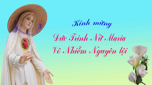 3 cách mừng lễ Đức Mẹ Vô Nhiễm Nguyên Tội