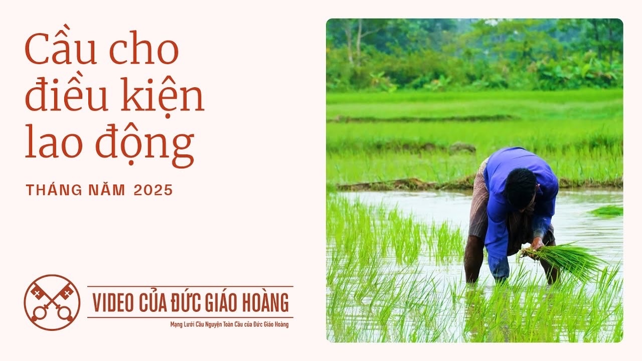 Ý Cầu Nguyện của ĐTC tháng 5/2025