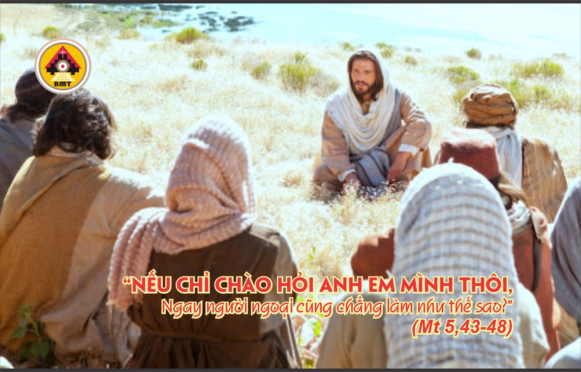 t3 t11 TN