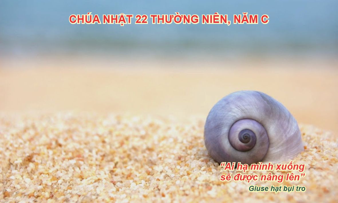 SnTM 270825a
