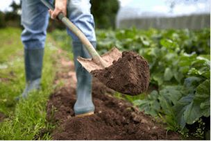 Chiêm niệm người làm vườn