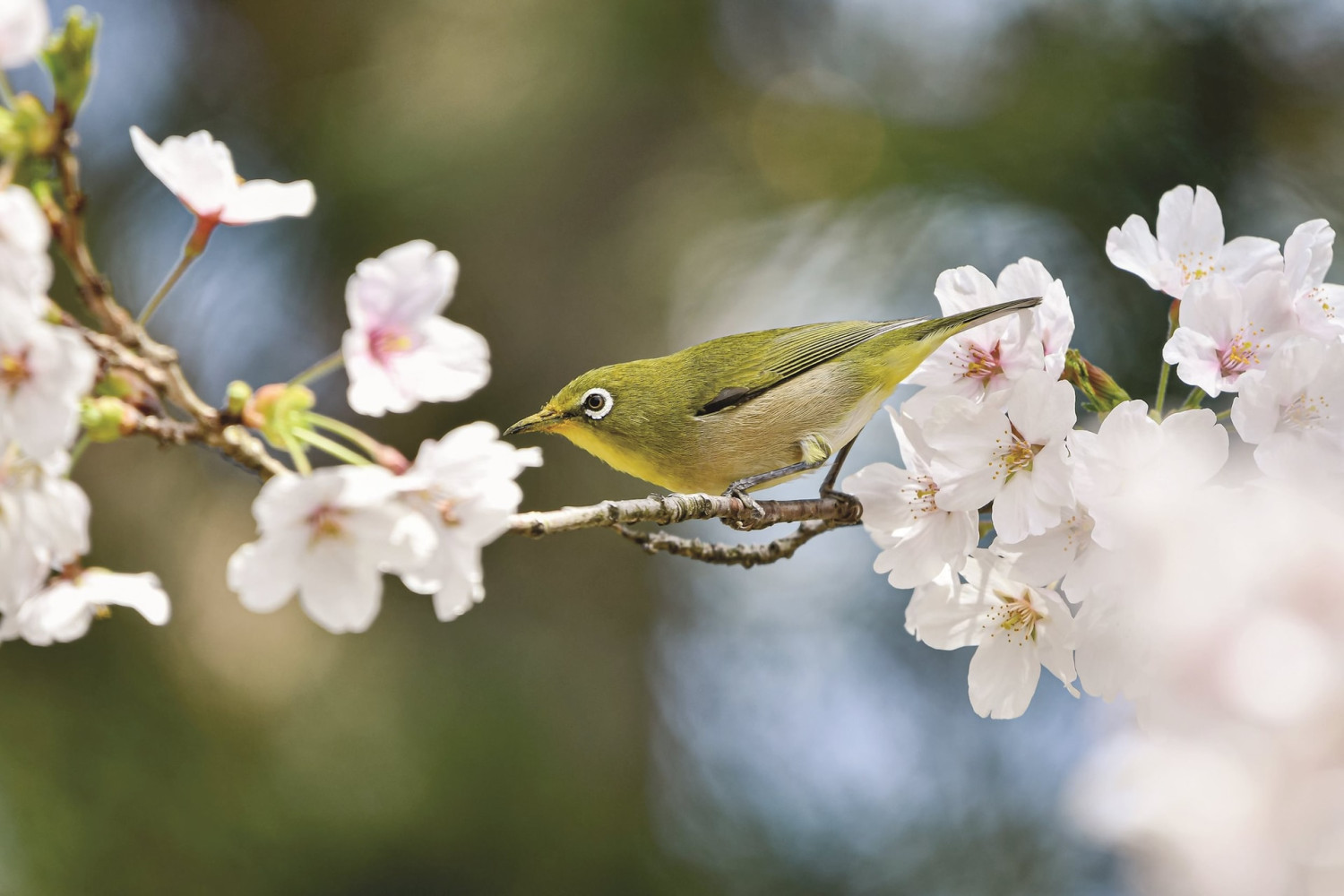 Tâm sự đầu năm
