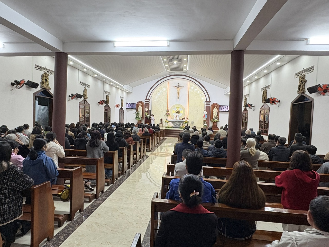 GX Kim Mai: Mừng Kính Thánh Tôma Aquinô