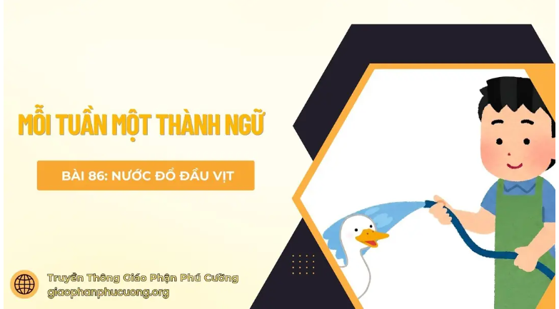 Nước đổ đầu vịt - Mỗi tuần một thành ngữ