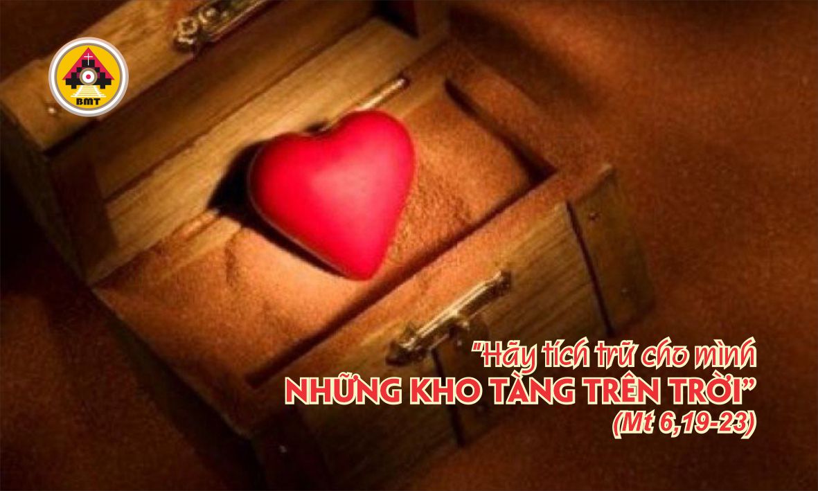 t6 t11 TN