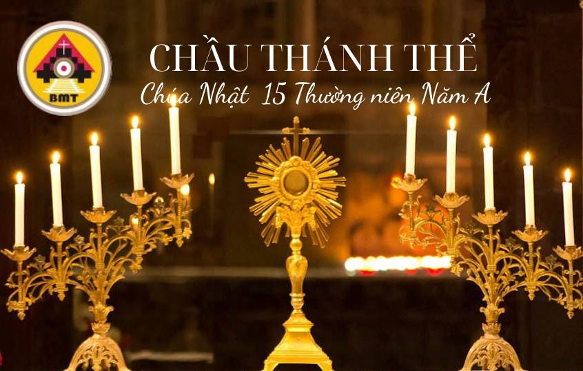 Chầu Thánh Thể Chúa nhật 15 Thường niên A