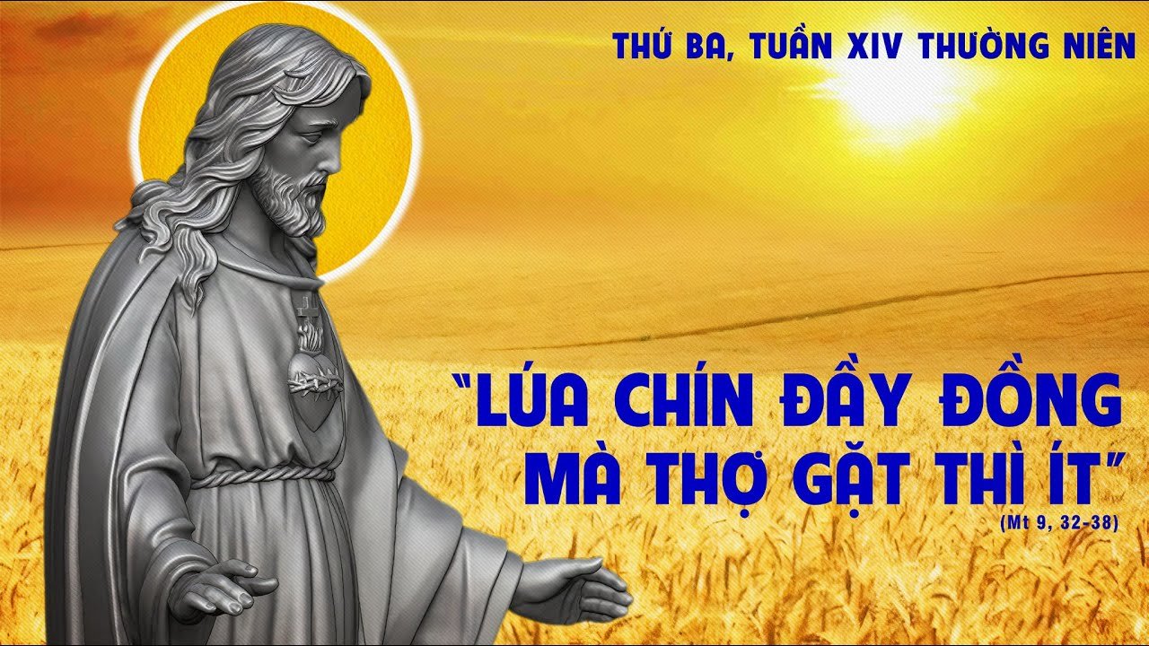 Lòng chạnh thương và cánh đồng truyền giáo