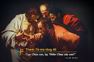 Thanh Toma tong do