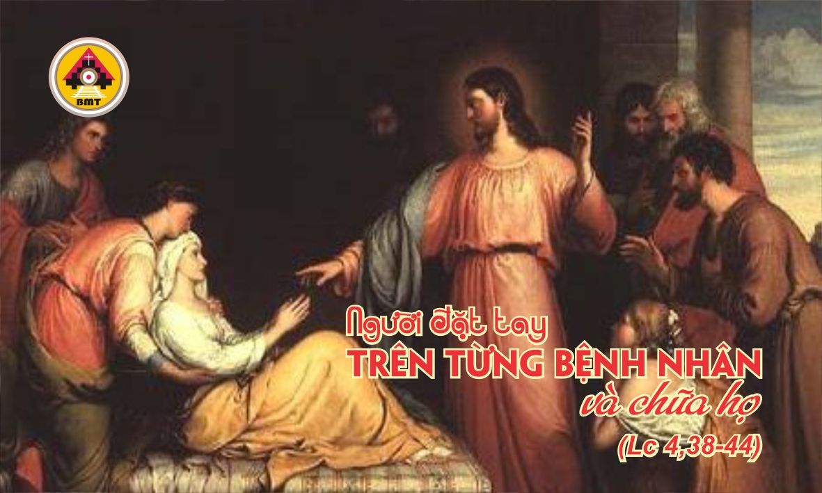 t4 t9 TN