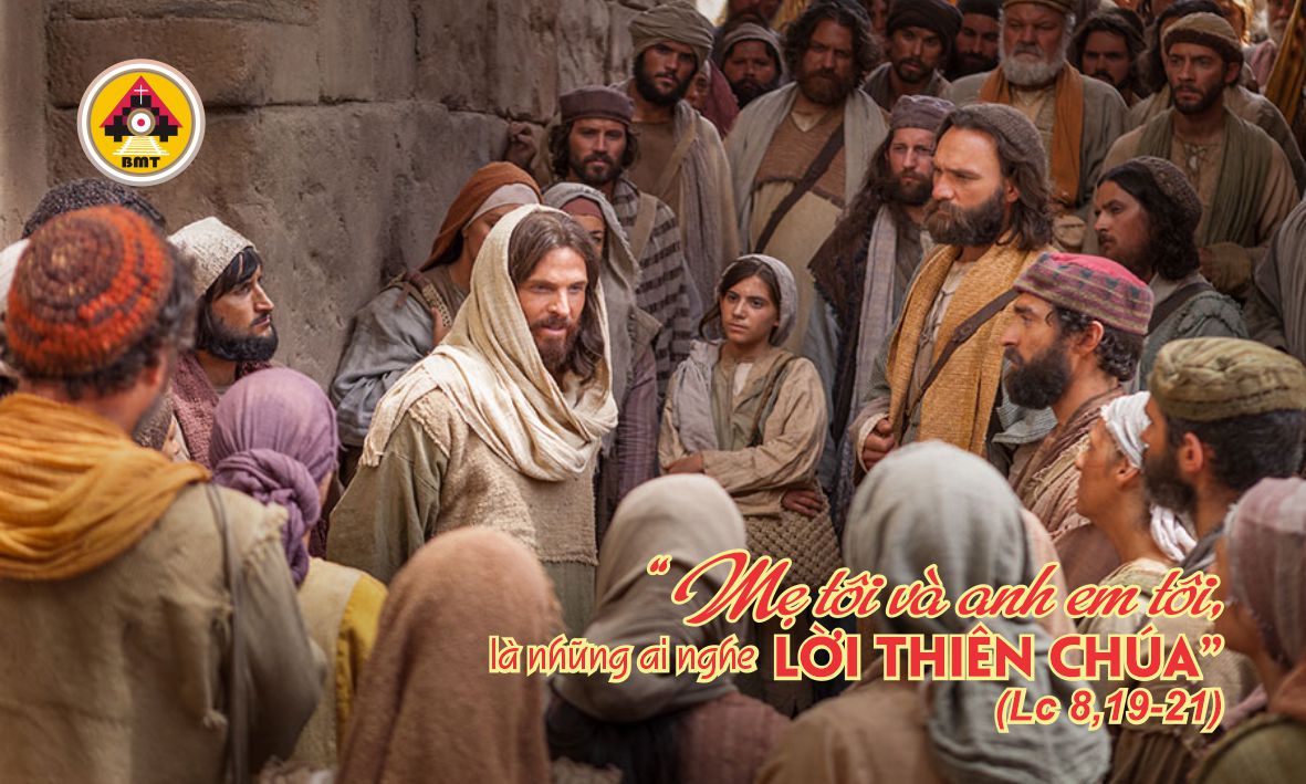 t3 t25 TN